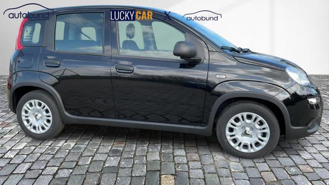 Fiat Panda Pandina Base 1,0 Hybrid (MHEV) NBA PDC SHA 