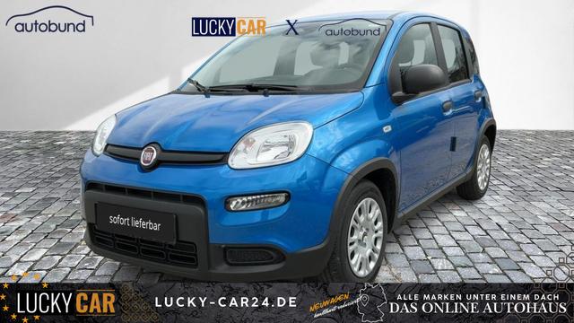 Lagerfahrzeug Fiat Panda - Pandina Base 1,0 Hybrid (MHEV) NBA PDC SHA