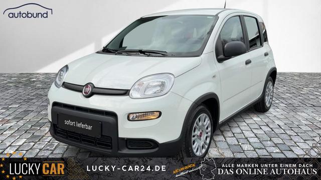 Gebrauchtfahrzeug Fiat Panda - Base 1,0 Hybrid (MHEV) DAB PDC