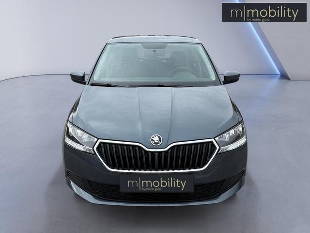 Skoda Fabia 1.0 Sitzheizung | AHK 