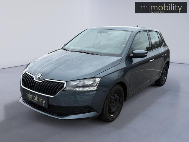 Skoda Fabia 1.0 Sitzheizung | AHK 
