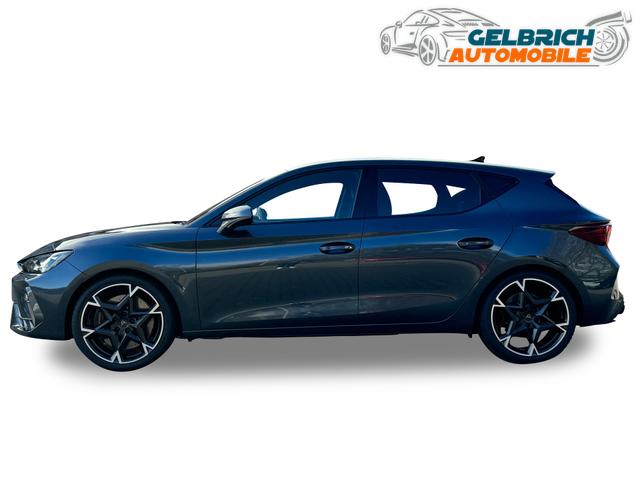 Beispielbilder, ggf. teilweise mit Sonderausstattung