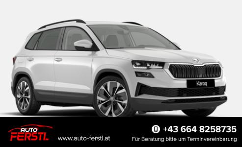 Bestellfahrzeug, konfigurierbar Skoda Karoq - Sondermodell 130 Jahre PREMIUM
