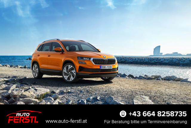 Vorlauffahrzeug Skoda Karoq - 2,0 TDI DSG 4x4 Selec 2Zoklim 4xSHZ LED 2xPDC Kam ACC AHK 5JG