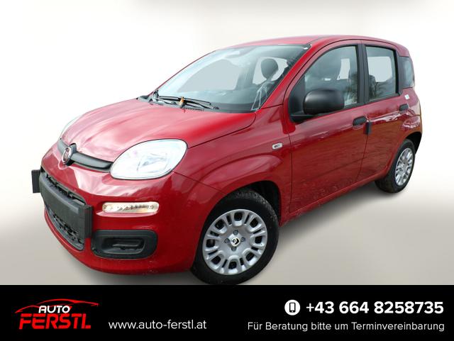 Vorlauffahrzeug Fiat Panda - MHEV 5"-DAB 5-Sitzer PDC DigCo LaneA Temp