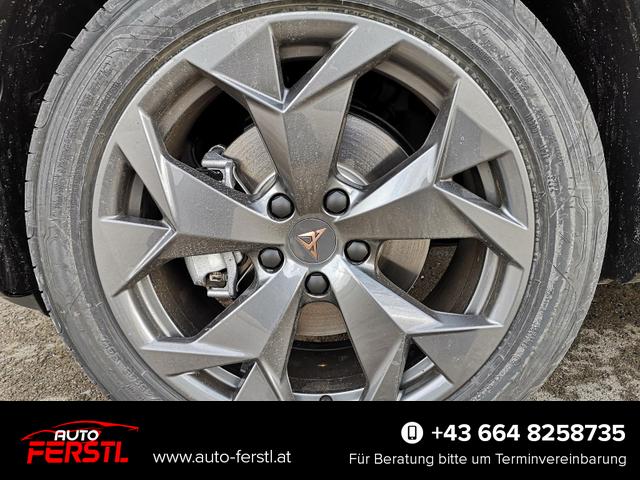 Vorlauffahrzeug Cupra Formentor - 1.5 eTSI 110 kW DSG AHK ACC LED