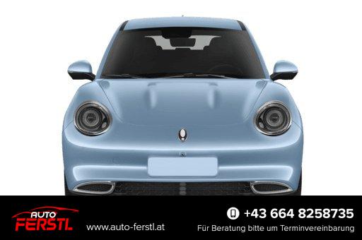 Gebrauchtfahrzeug GWM - 03 300 48 kWh 126 kW