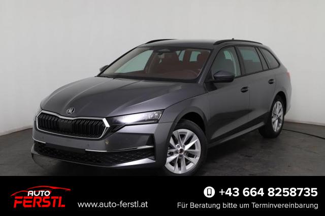 Lagerfahrzeug Skoda Octavia Combi - Selection (Selection) 2.0 TDI 110kW (150 PS) 7-Gang-DSG