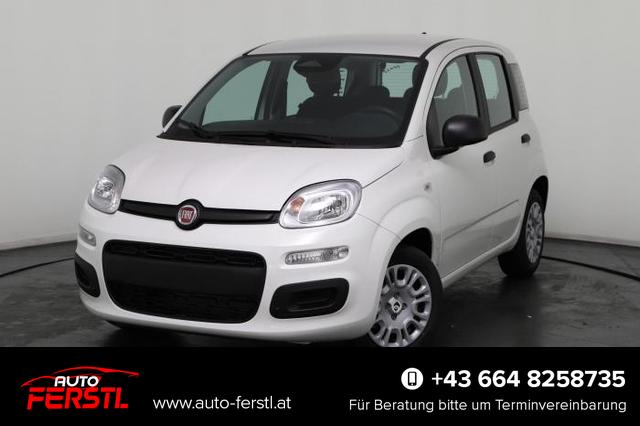 Lagerfahrzeug Fiat Panda - 1.0 hybrid 51kW (70 PS) 6-Gang Schaltgetriebe