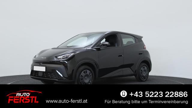 Lagerfahrzeug BYD Dolphin Surf - Active 30 kWh / Navi ACC PDC H   Kamera Klimaautomatik