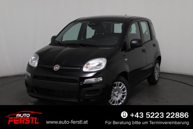 Lagerfahrzeug Fiat Panda - Pandina Icon (Pandina Icon) 1.0 Mild-Hybrid (65PS) 6-Gang Schaltgetriebe