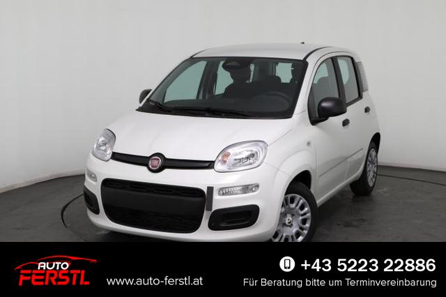 Lagerfahrzeug Fiat Panda - Pandina Icon (Pandina Icon) 1.0 Mild-Hybrid (65PS) 6-Gang Schaltgetriebe