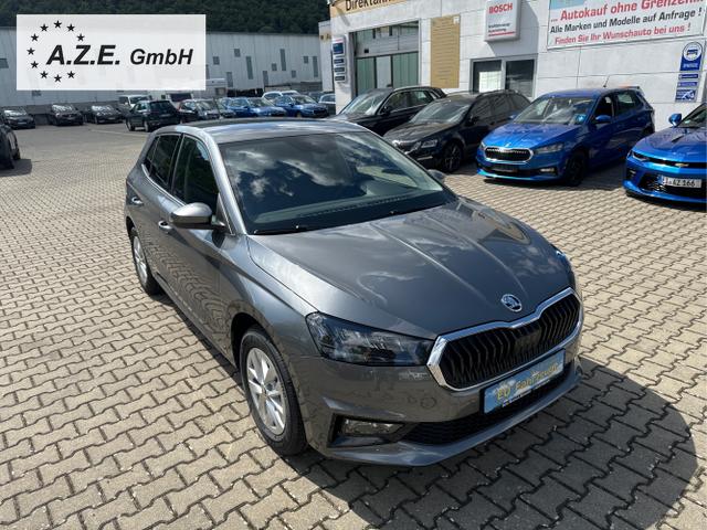 Skoda / Fabia / Grau / / / 1.0 TSI TOP SELECTION *PDC*GRA*SH*LHZ*APP*MFL*