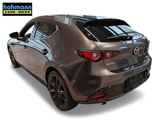 Beispielbilder, ggf. teilweise mit Sonderausstattung