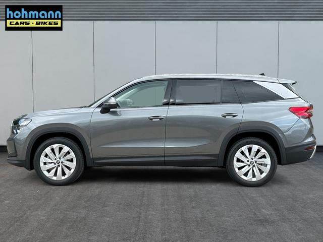 Skoda / Kodiaq / Grau / / / DSG+NAVI+19'' ALU+ACC+KAMERA