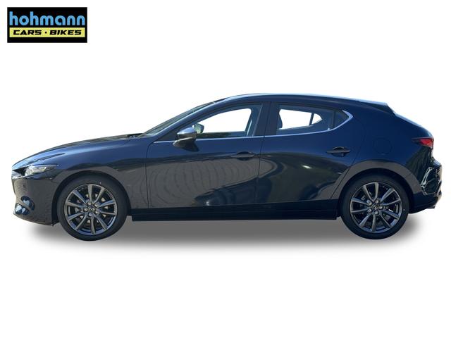 Beispielbilder, ggf. teilweise mit Sonderausstattung