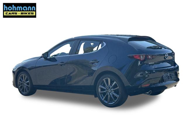 Beispielbilder, ggf. teilweise mit Sonderausstattung