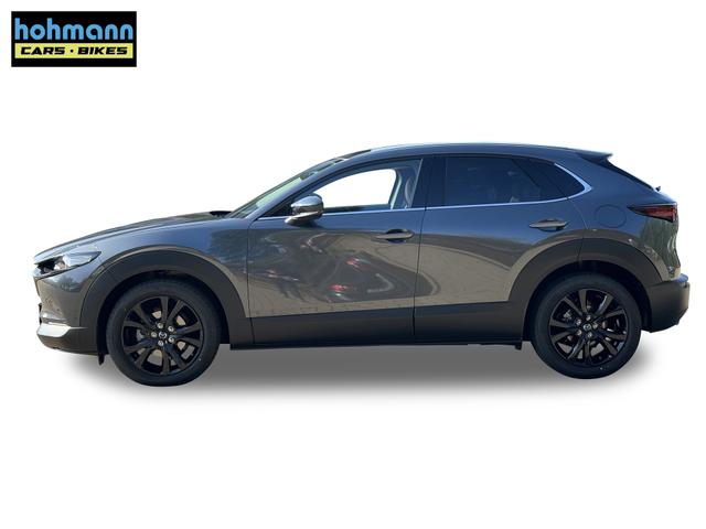 Beispielbilder, ggf. teilweise mit Sonderausstattung