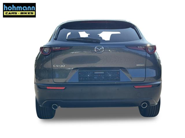 Beispielbilder, ggf. teilweise mit Sonderausstattung