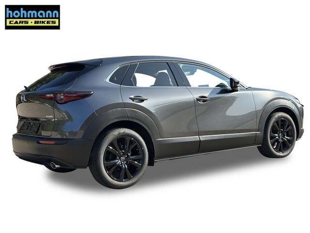 Beispielbilder, ggf. teilweise mit Sonderausstattung