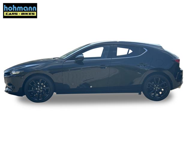 Beispielbilder, ggf. teilweise mit Sonderausstattung