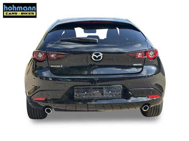 Beispielbilder, ggf. teilweise mit Sonderausstattung