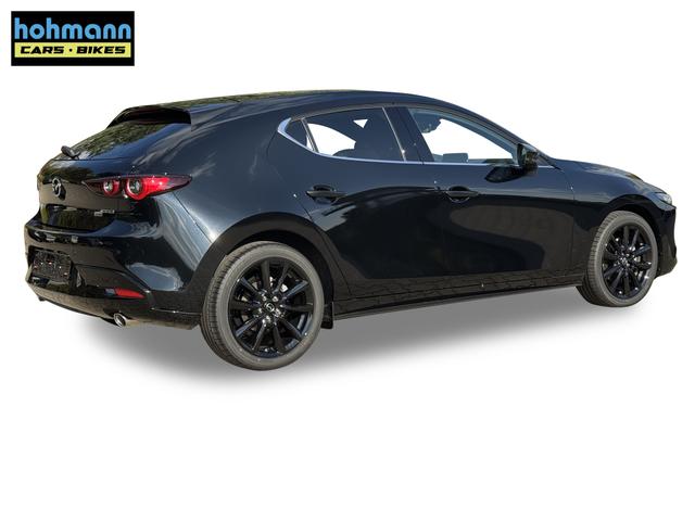 Beispielbilder, ggf. teilweise mit Sonderausstattung