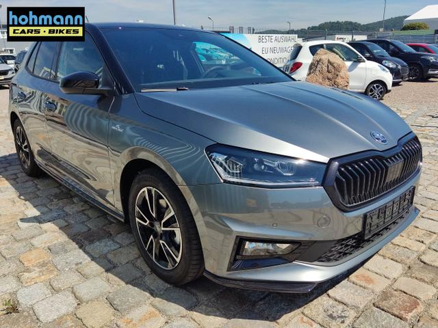 Skoda / Fabia / Grau / / / , Beispielbilder, ggf. teilweise mit Sonderausstattung