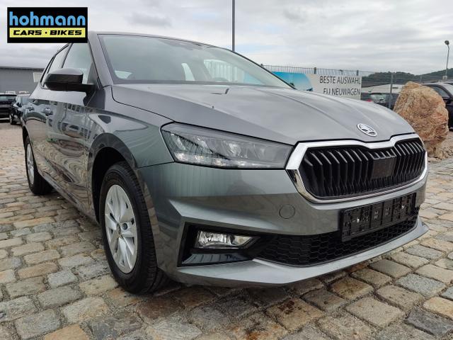 Skoda / Fabia / Grau / / / , Beispielbilder, ggf. teilweise mit Sonderausstattung