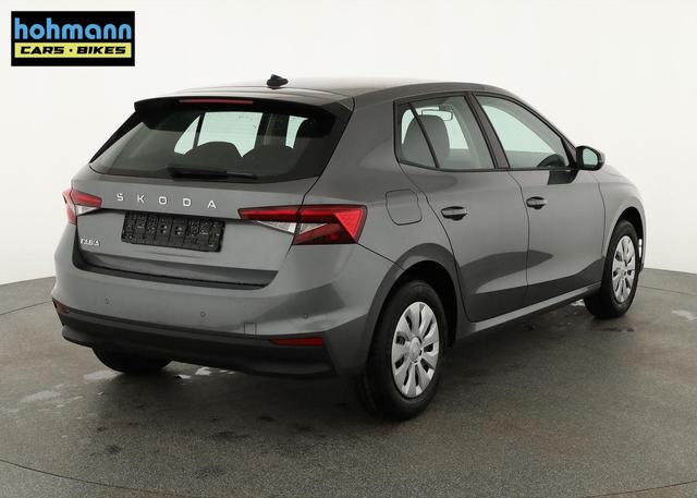 Skoda Fabia Selection 1.0 TSI Selection, Ladeboden, Park, Winterpaket, SmartLink, 4-J Garantie 