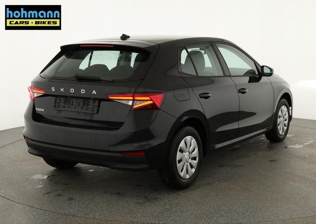 Skoda Fabia Selection 1.0 TSI Selection, Tempomat, Park, Winterpaket, SmartLink, 4-J Garantie 