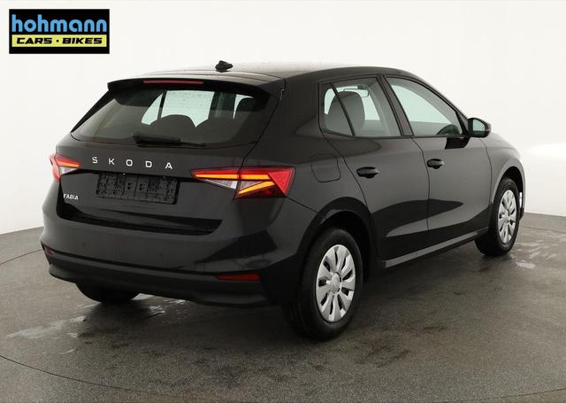 Skoda Fabia Selection 1.0 TSI Selection, Tempomat, Ladeboden, Park, Winterpaket, SmartLink, 4-J Garantie 