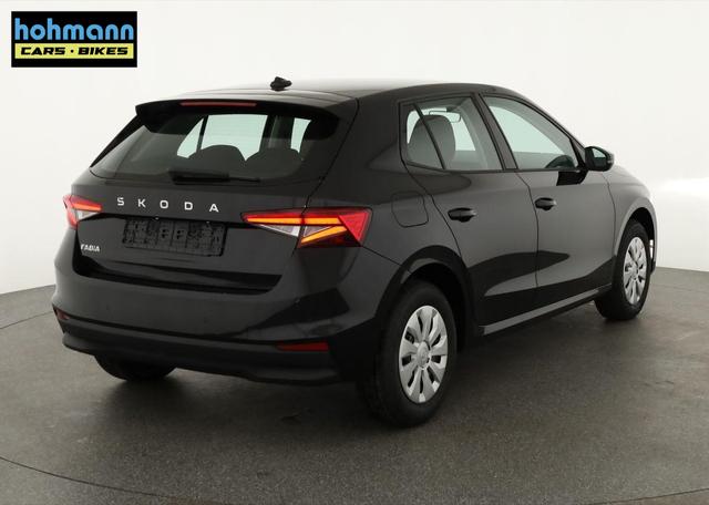 Skoda Fabia Selection 1.0 TSI Selection, Park, Winterpaket, SmartLink, 4-J Garantie 
