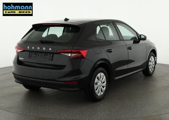 Skoda Fabia Selection 1.0 TSI Selection, Park, Winterpaket, SmartLink, 4-J Garantie 