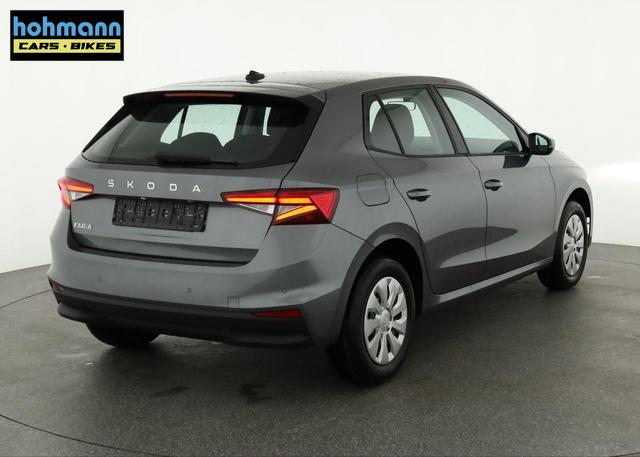 Skoda Fabia Selection 1.0 TSI Selection, Park, Winterpaket, SmartLink, 4-J Garantie 