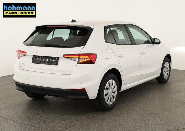 Skoda Fabia Selection 1.0 TSI Selection, Park, Winterpaket, SmartLink, 4 J.-Garantie 