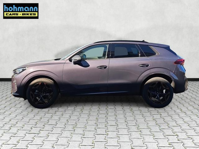 Cupra Terramar 1.5 eTSI 110 kW DSG / Edge Paket 19Zoll 