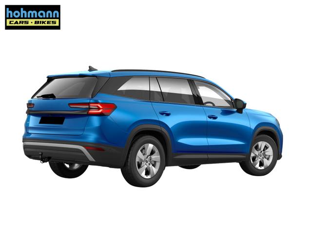 Skoda Kodiaq Selection 2.0 TSI DSG 4x4 AHK+7Sitz+360&deg;+GV4+eHeck+Winter+Memory 