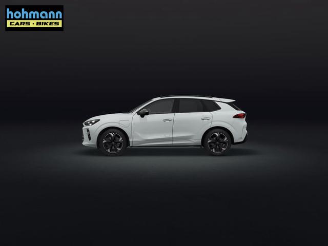 Cupra Terramar e-HYBRID 1.5 150 kW (204 PS) 6-Gang-DSG 