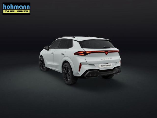 Cupra Terramar e-HYBRID 1.5 150 kW (204 PS) 6-Gang-DSG 