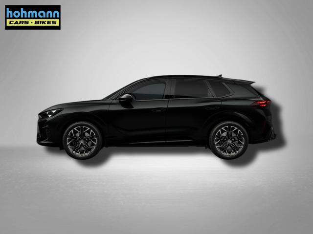 Cupra Terramar VZ 2.0 TSI 7-Gang-DSG 4Drive 