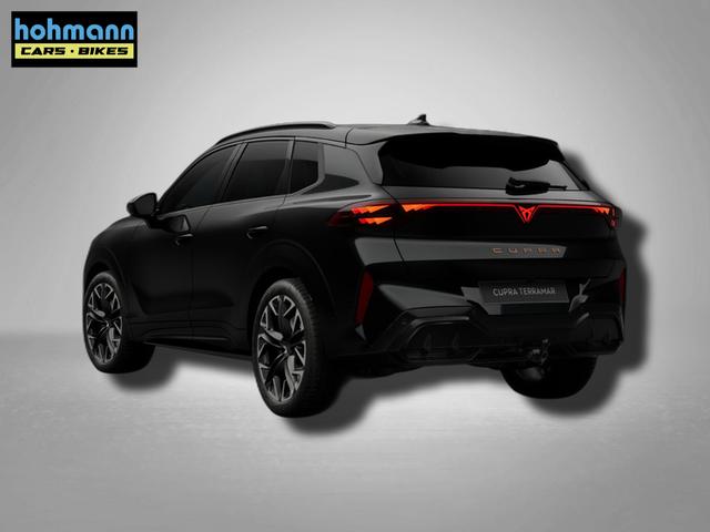 Cupra Terramar VZ 2.0 TSI 7-Gang-DSG 4Drive 
