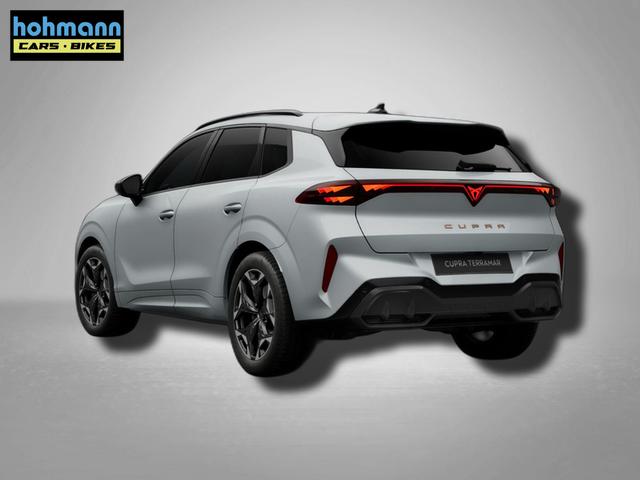 Cupra Terramar VZ 2.0 TSI 