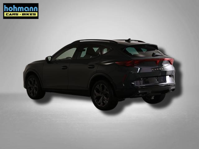 Cupra Formentor 2.0 TSI 7-Gang-DSG 4Drive 