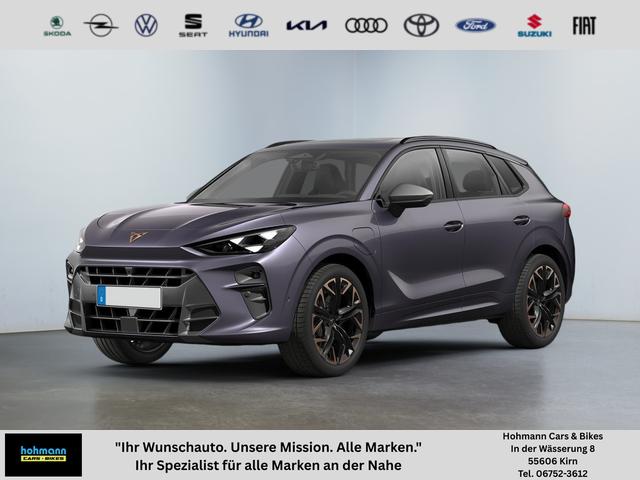 Cupra Terramar - Basis