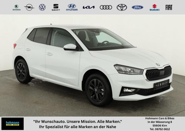 Skoda Fabia - Selection 1.0 TSI DSG Selection, 15-Zoll schwarz, Winter, Ladeboden