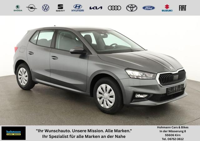 Skoda Fabia - Selection 1.0 TSI Selection, AHK, Tempomat, Ladeboden, Park, Winterpaket, SmartLink, 4-J Garantie
