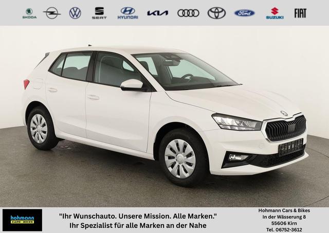 Skoda Fabia - Selection 1.0 TSI Selection, Park, Winterpaket, SmartLink, 4 J.-Garantie