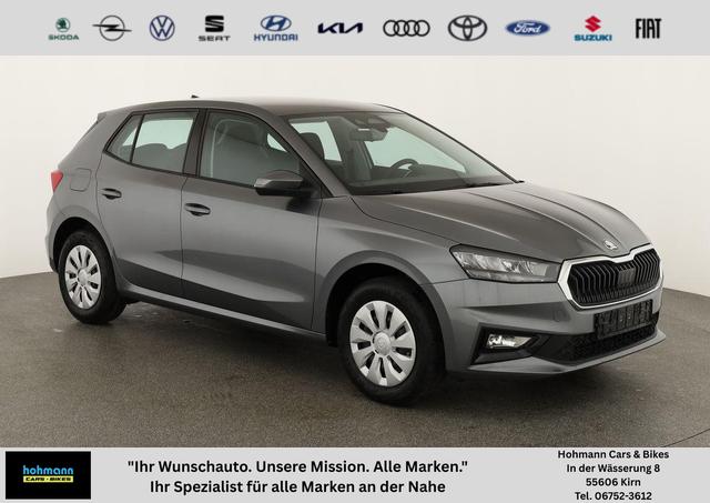 Skoda Fabia - Selection 1.0 TSI Selection, Park, Winterpaket, SmartLink, 4 J.-Garantie
