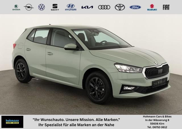 Skoda Fabia - Selection 1.0 TSI Selection, LED, Kamera, Winter, 5 J.-Garantie